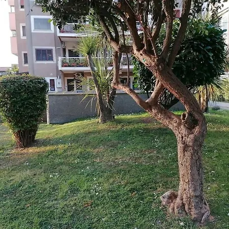 Apartment Tor Vergata Metro C